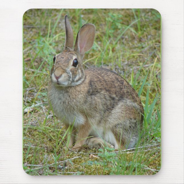 Wild Rabbit Eastern Cottontail Apparel and Gifts Mouse Mat (Front)