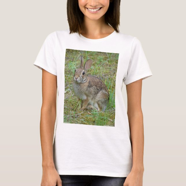 Wild Rabbit Eastern Cottontail Apparel and Gifts T-Shirt (Front)