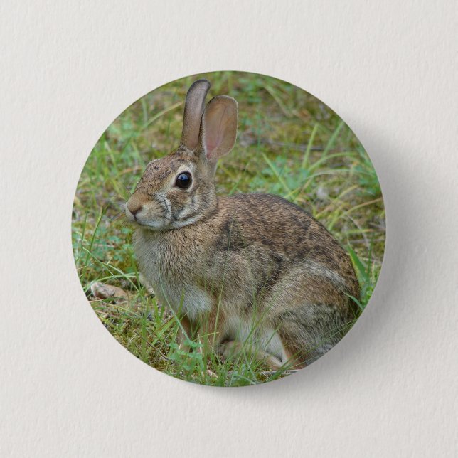 Wild Rabbit Eastern Cottontail II Apparel & Gifts 6 Cm Round Badge (Front)