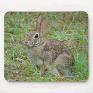 Wild Rabbit Eastern Cottontail II Apparel & Gifts Mouse Mat