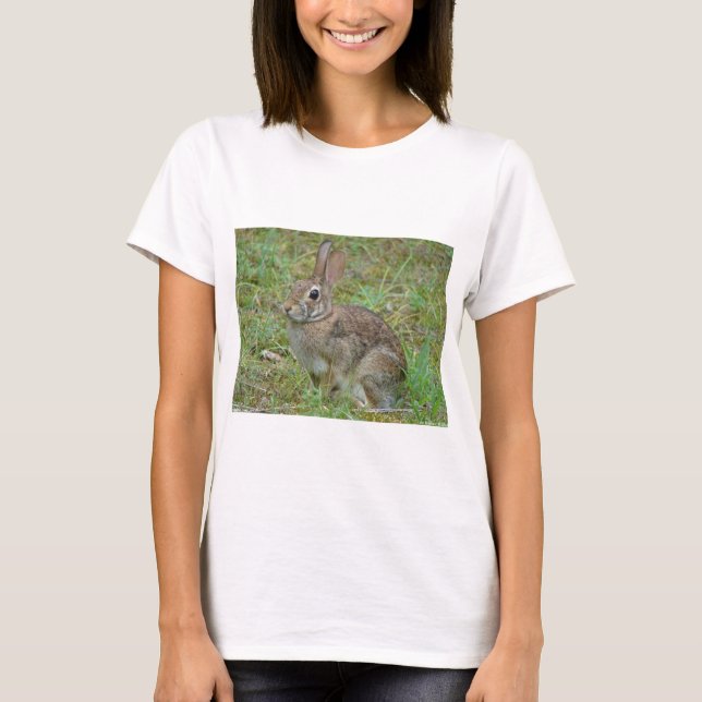 Wild Rabbit Eastern Cottontail II Apparel & Gifts T-Shirt (Front)