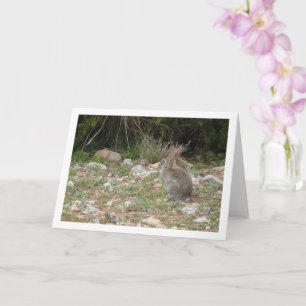 Wild Rabbit in Countryside Card