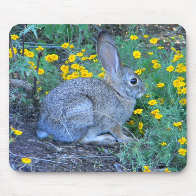 Wild Rabbit in Yellow Flowers Mouse Mat (Front)