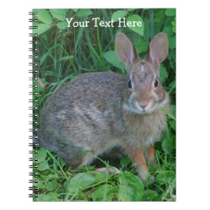 Wild Rabbit Nature Notebook