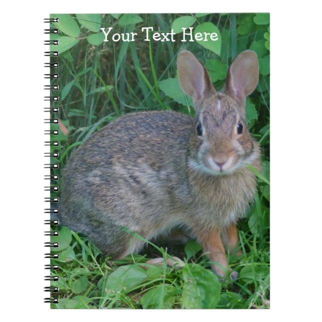 Wild Rabbit Nature Notebook (Front)