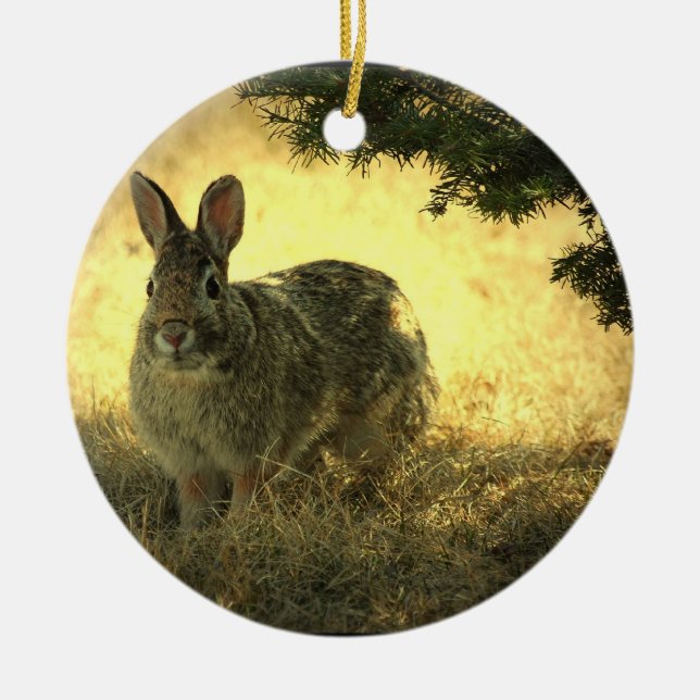 Wild Rabbit Photo Ornament (Front)