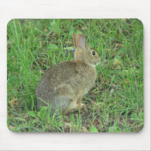 Wild Rabbit Resting Mouse Mat