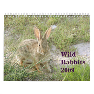 Wild Rabbits 2009 Calendar
