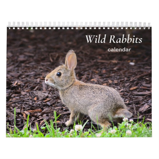 Wild Rabbits Calendar (Cover)