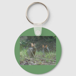 Wild Rabbits Eastern Cottontail Pair Apparel Gifts Key Ring