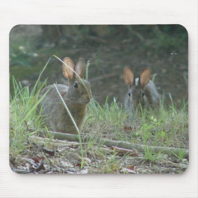Wild Rabbits Eastern Cottontail Pair Apparel Gifts Mouse Mat (Front)
