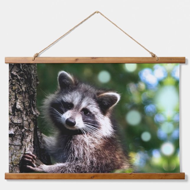 Wild Racoon and Orbs on the Forest Hanging Tapestry (Front)