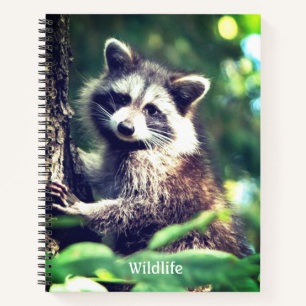 Wild Racoon on the Jungle Notebook