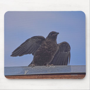 Wild Raven and Roof Wildlife Photo Gift Mouse Mat