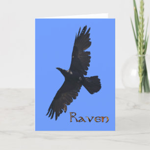 Wild Raven Wildlife Photo Gift Thank You Card