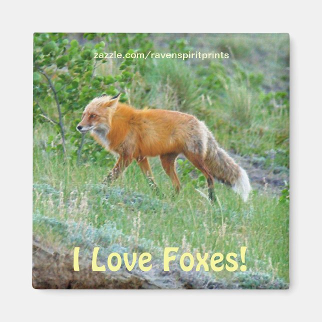 Wild Red Fox-lover Animal Wildlife Art Magnet (Front)