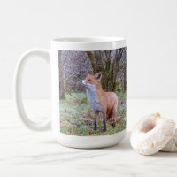 Wild Red Fox Standing Frosty Landscape Cozy Winter