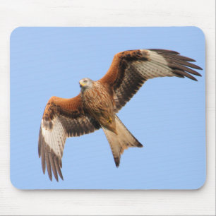 Wild Red Kites Mouse Mat