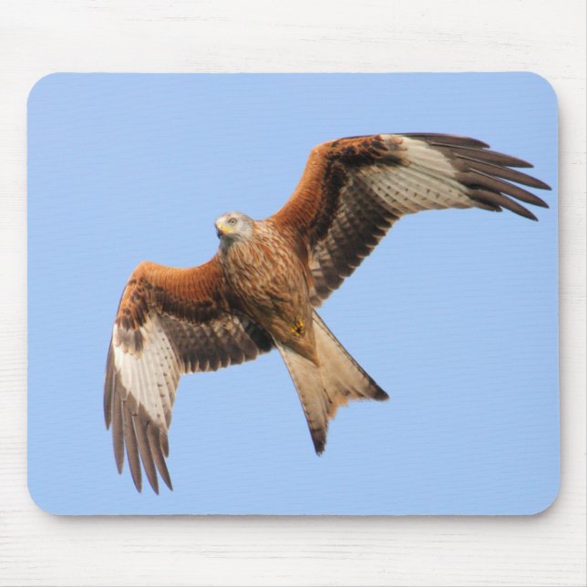 Wild Red Kites Mouse Mat (Front)