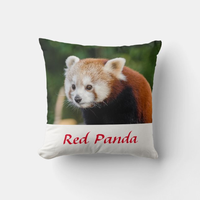 Wild Red Panda Nature Photo Cushion (Front)