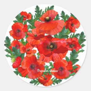 Wild Red Poppies Classic Round Sticker