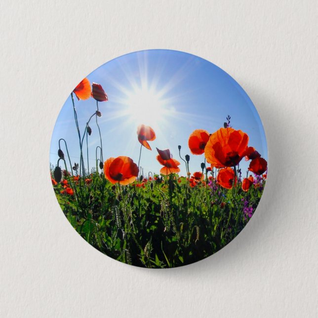 Wild Red Poppies Flowers 6 Cm Round Badge (Front)
