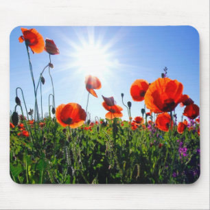 Wild Red Poppies Flowers Mouse Mat