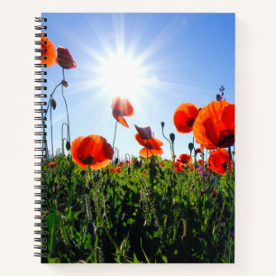 Wild Red Poppies Flowers Notebook