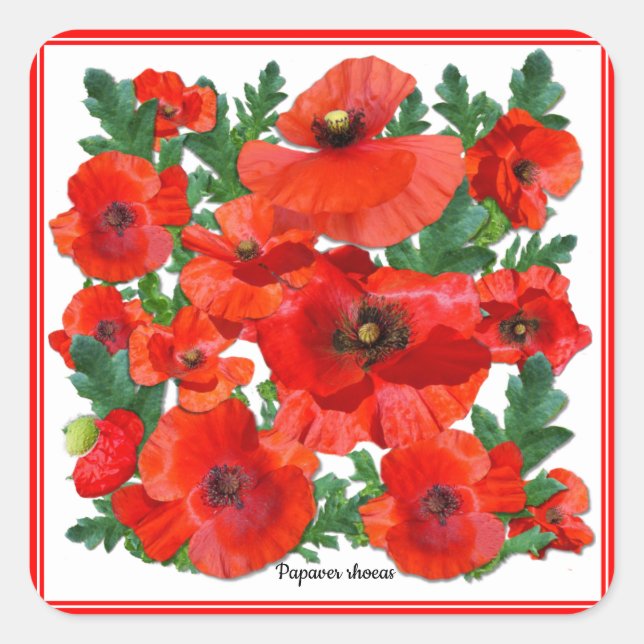 Wild Red Poppies Square Sticker (Front)