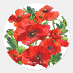WILD RED POPPY CLASSIC ROUND STICKER
