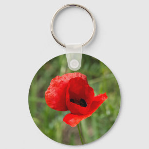 Wild red poppy flower key ring