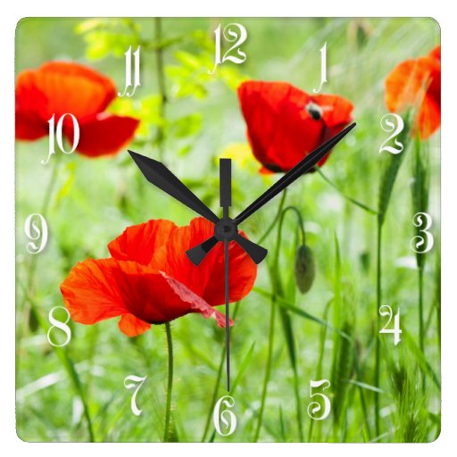 Image of Wild red poppy flower Square Wall Clock