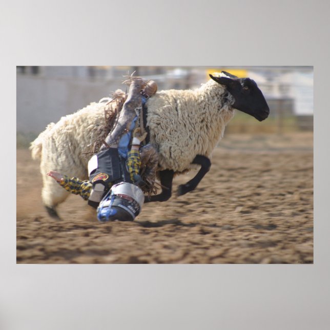 Wild Ride Poster (Front)