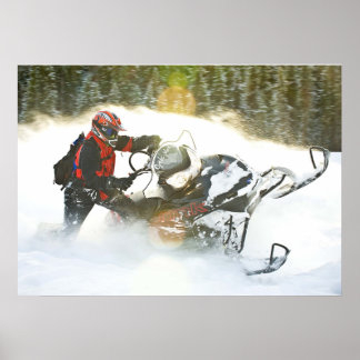 Wild Ride Snowmobile Print