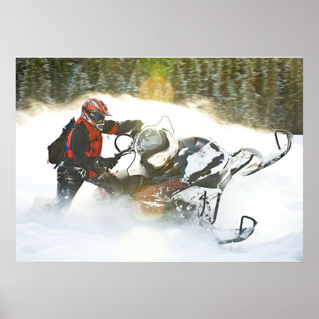 Wild Ride Snowmobile Print (Front)