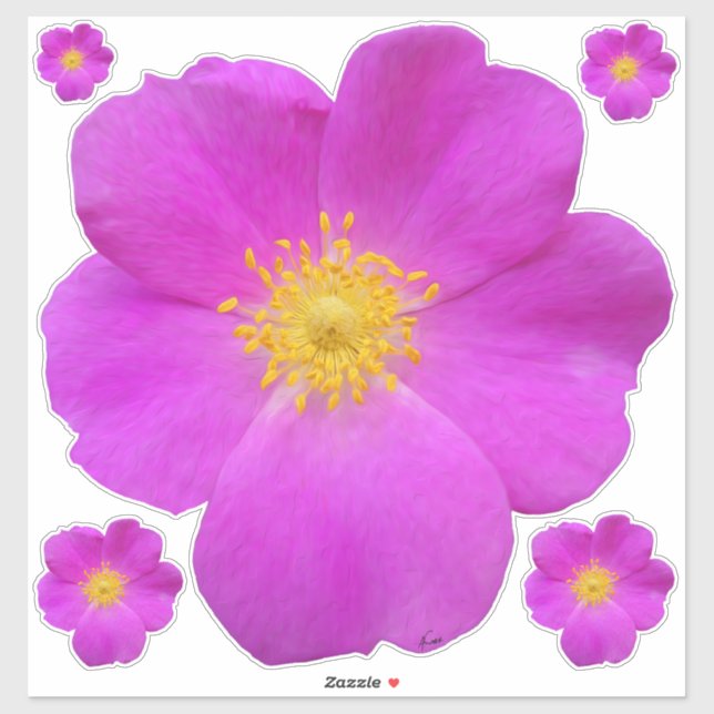 Wild Rose 2 (Sheet)