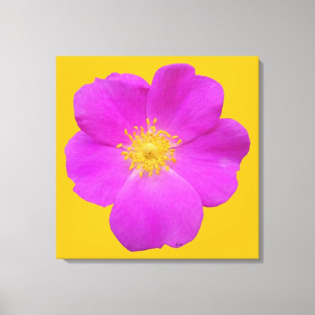 Wild Rose 2 Canvas Print (Front)