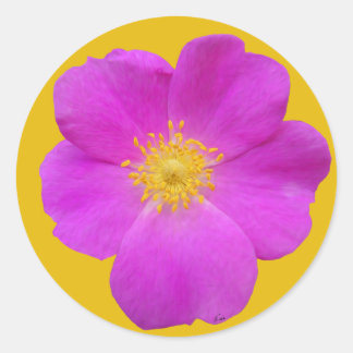 Wild Rose 2 Classic Round Sticker