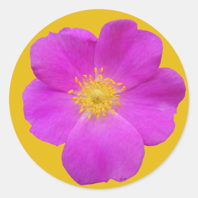 Wild Rose 2 Classic Round Sticker (Front)