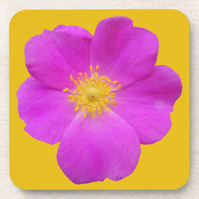 Wild Rose 2 Coaster (Front)