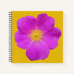 Wild Rose 2 Notebook