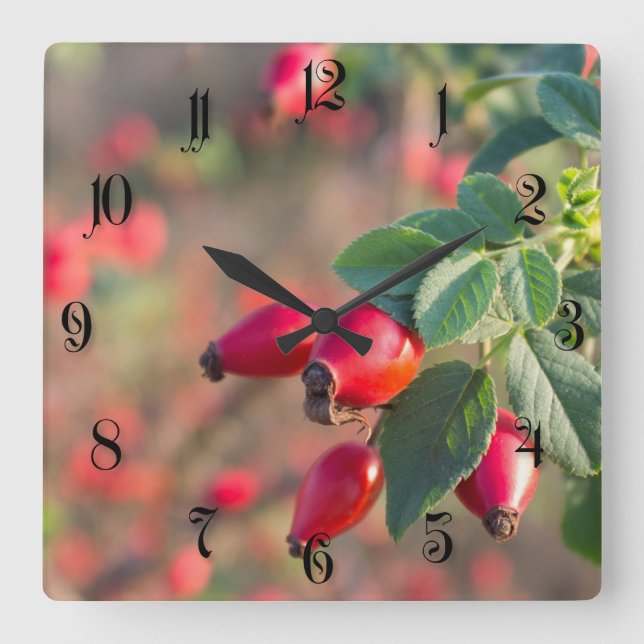 Wild rose berries square wall clock (Front)