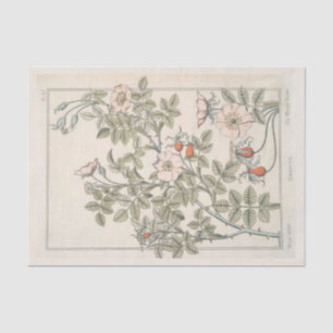 Wild Rose Botanical  Floral Vintage Decoupage Pink Tissue Paper