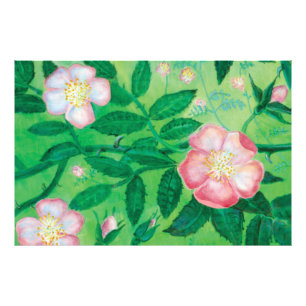 Wild rose flowers   photo print