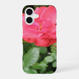 Wild Rose iPhone 16 Case