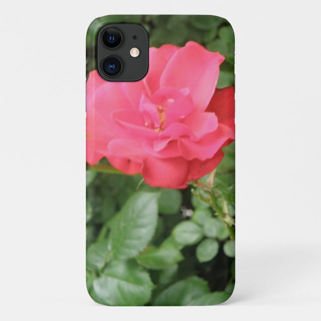 Wild Rose iPhone Case (Back)