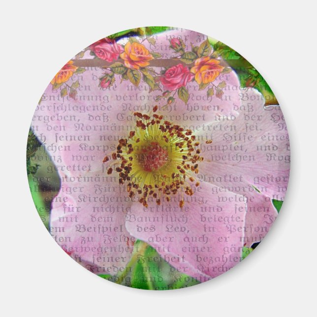 Wild Rose Magnet (Front)
