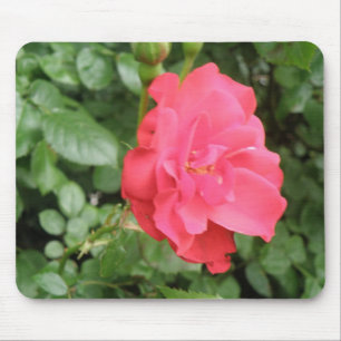 Wild Rose Mousepad