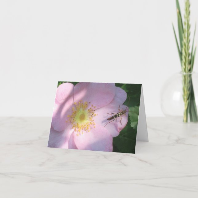 Wild Rose Notecard (Front)