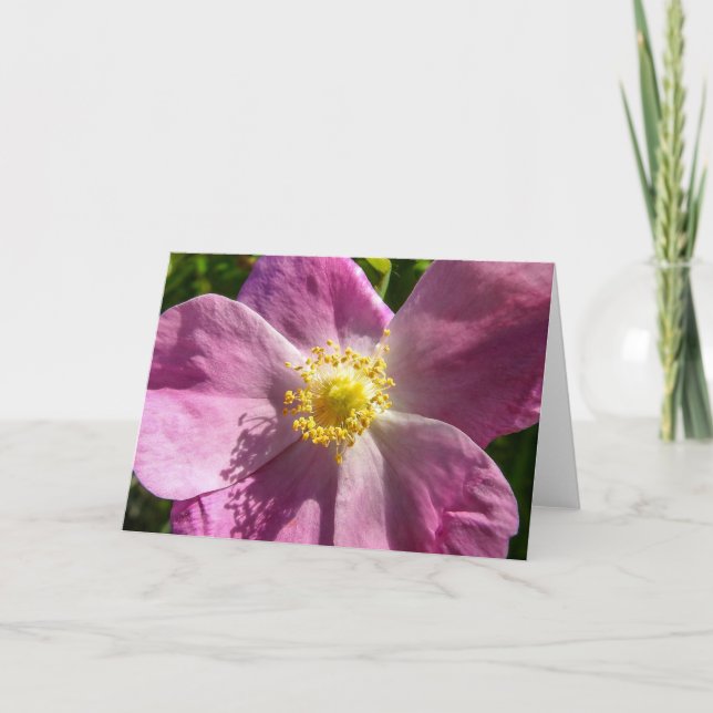 Wild Rose Notecard (Front)